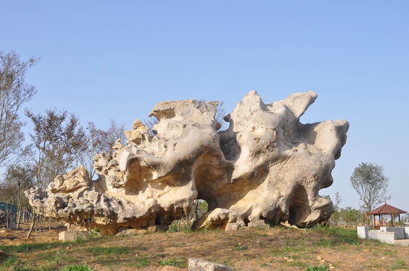 DSC_0137.JPG