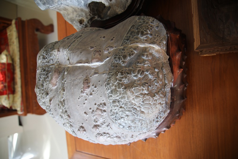 4F9A0231.JPG
