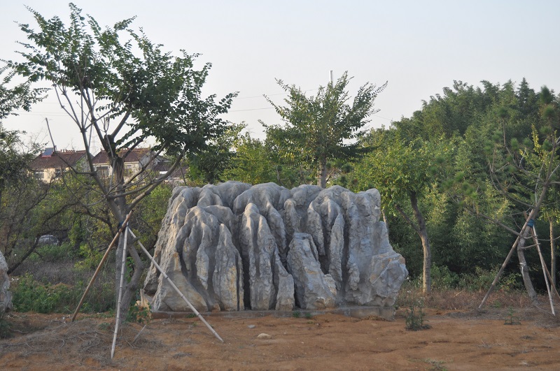 DSC_0187.JPG